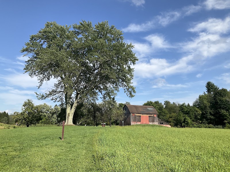 Lafayette Township